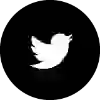 Twitter icon